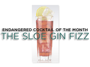 Sloe Gin Fizz Cocktail Recipe